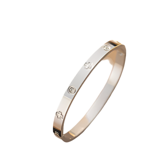 Titanium Steel 18k Gold Plated Bangles